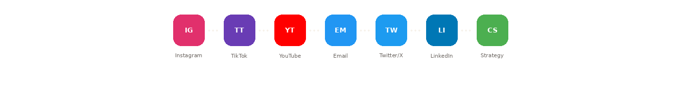 Instagram, TikTok, YouTube, Email, Twitter, LinkedIn, Strategy